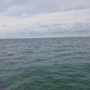 Meet your Posher, Nelson