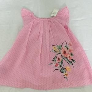 BabyGap Dress