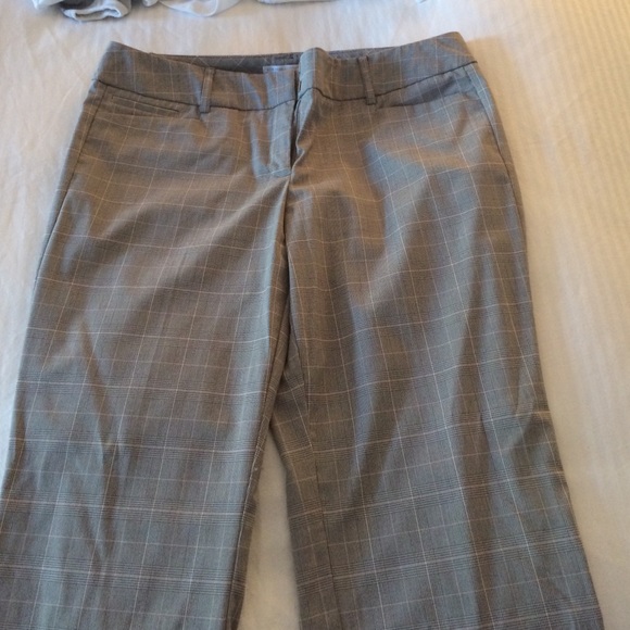 Dress pants