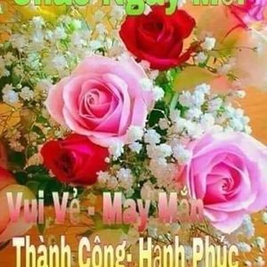 Meet your Posher, Dai