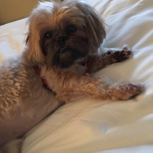 Meet your Posher, Margaret