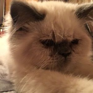 Meet your Posher, Alex