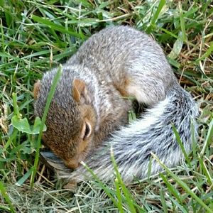 Meet your Posher, Kristie