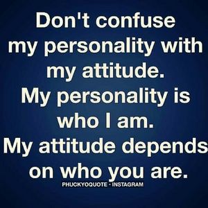 Meet your Posher, Meeka