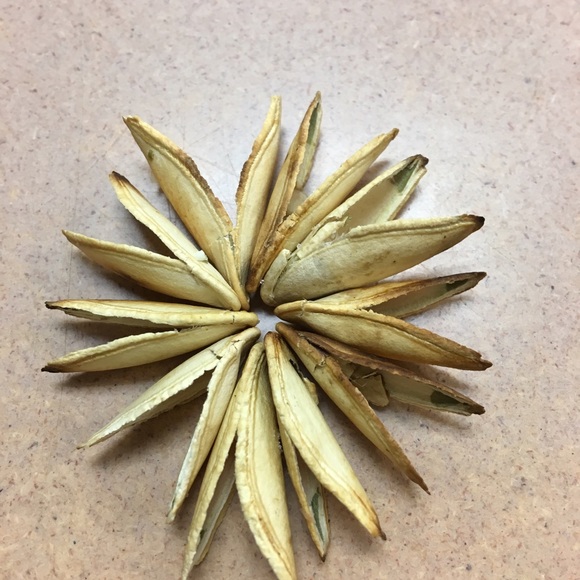 Meet your Posher, Gustavo - Picture 1 of 1