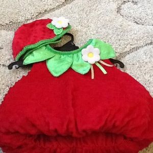 3-6 month Strawberry Costume