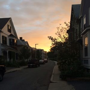 Meet your Posher, Willa