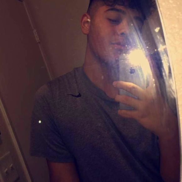 Meet your Posher, Joey - Picture 1 of 1