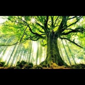 Meet your Posher, Sammy