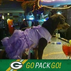 Meet your Posher, Jane