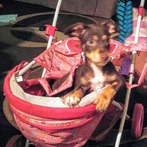 Meet your Posher, Lizeth