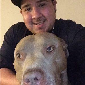 Meet your Posher, Daniel