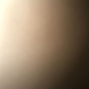 Meet your Posher, Grant