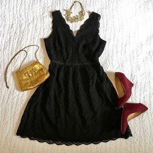 NWT LOFT Lace Dress