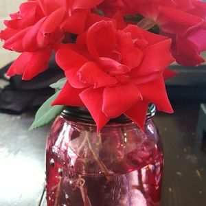 Meet your Posher, Carrie