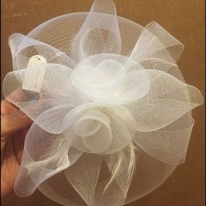 Birdcage veil white