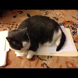 Meet your Posher, Bonnie