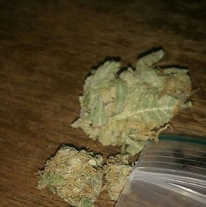 Meet your Posher, Jamel