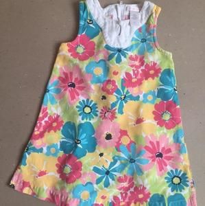 Janie and Jack watercolor shift dress 2T