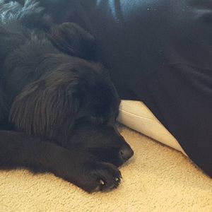 Meet your Posher, Alejandra