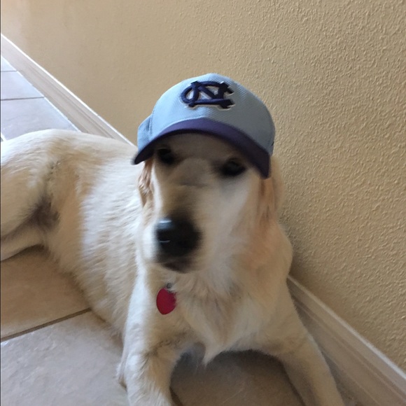 Meet your Posher, Al