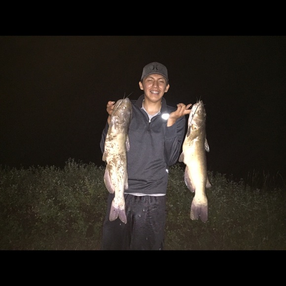 Meet your Posher, Quinn - Picture 1 of 1