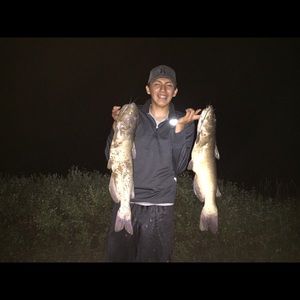 Meet your Posher, Quinn