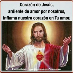 Meet your Posher, Will