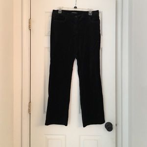White House Black Market velvet pants