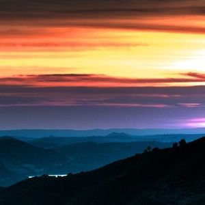 Meet your Posher, Peter