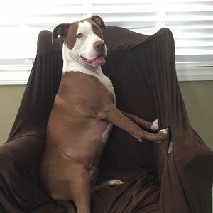 Meet your Posher, Cris