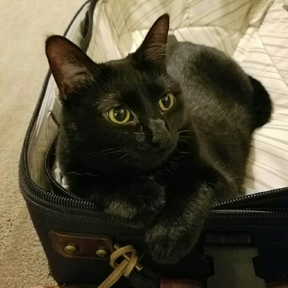 Meet your Posher, Katie - Picture 2 of 2