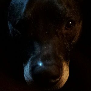 Meet your Posher, Taryn