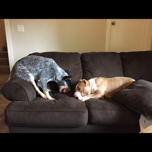 Meet your Posher, Calbert