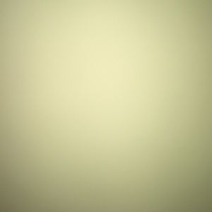 Meet your Posher, Elianis