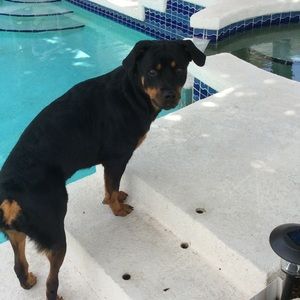 Meet your Posher, Carole