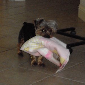 Meet your Posher, Sharon