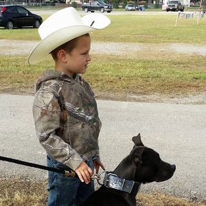 Meet your Posher, Missy