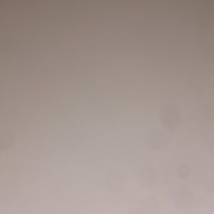 Meet your Posher, Kaitlin