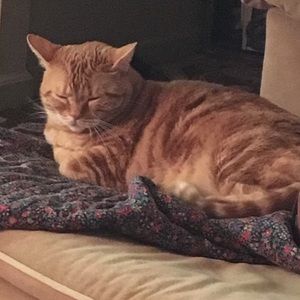 Meet your Posher, Sandra