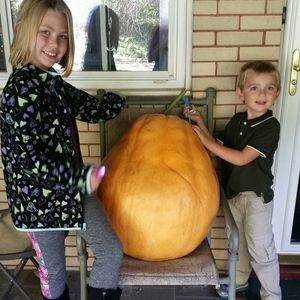 Meet your Posher, Andrea