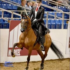 Meet your Posher, Sevana