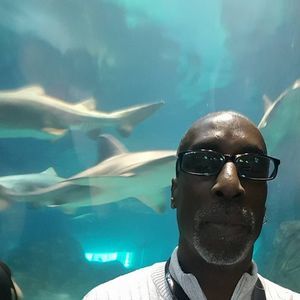 Meet your Posher, Marlo