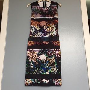 Clover Canyon neoprene winter florals dress