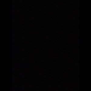 Meet your Posher, Cody