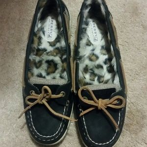 Angelfish Sperrys