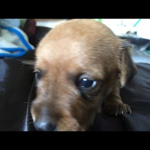 Meet your Posher, Gavin