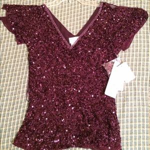 Beautiful Adrianna Papell Sequin Garment