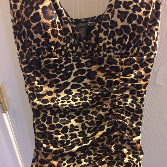 Cheetah Print Fit Dress