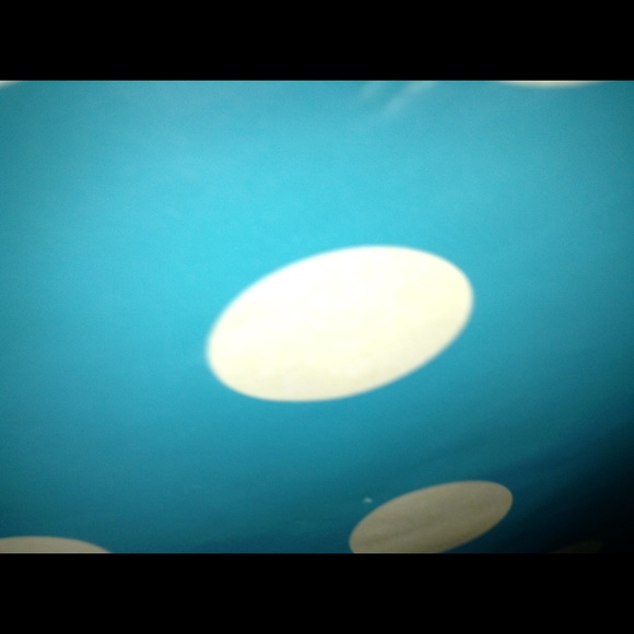 Meet your Posher, Dakota - Picture 1 of 1